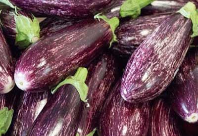 Eggplant