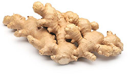 Fresh Wholesale Organic Ginger Root