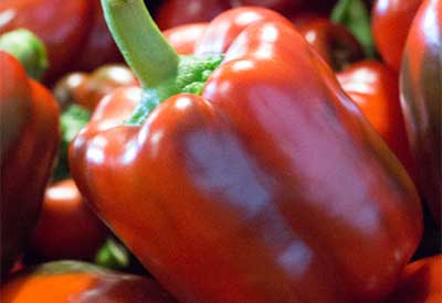 Bell Pepper