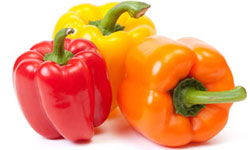 Fresh Wholesale Bell Peppers