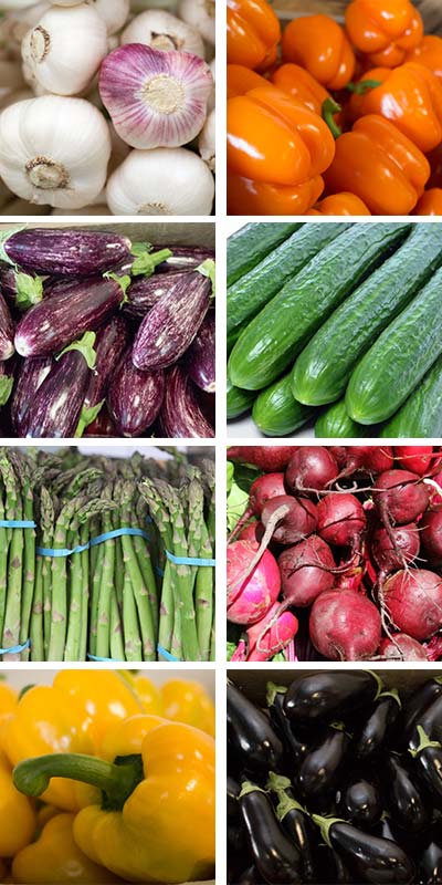 Fresh Vegetables